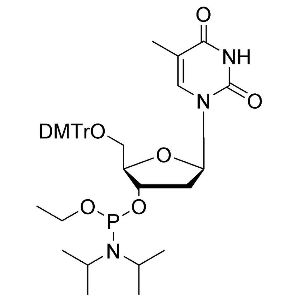 dT Et-Phosphoramidite